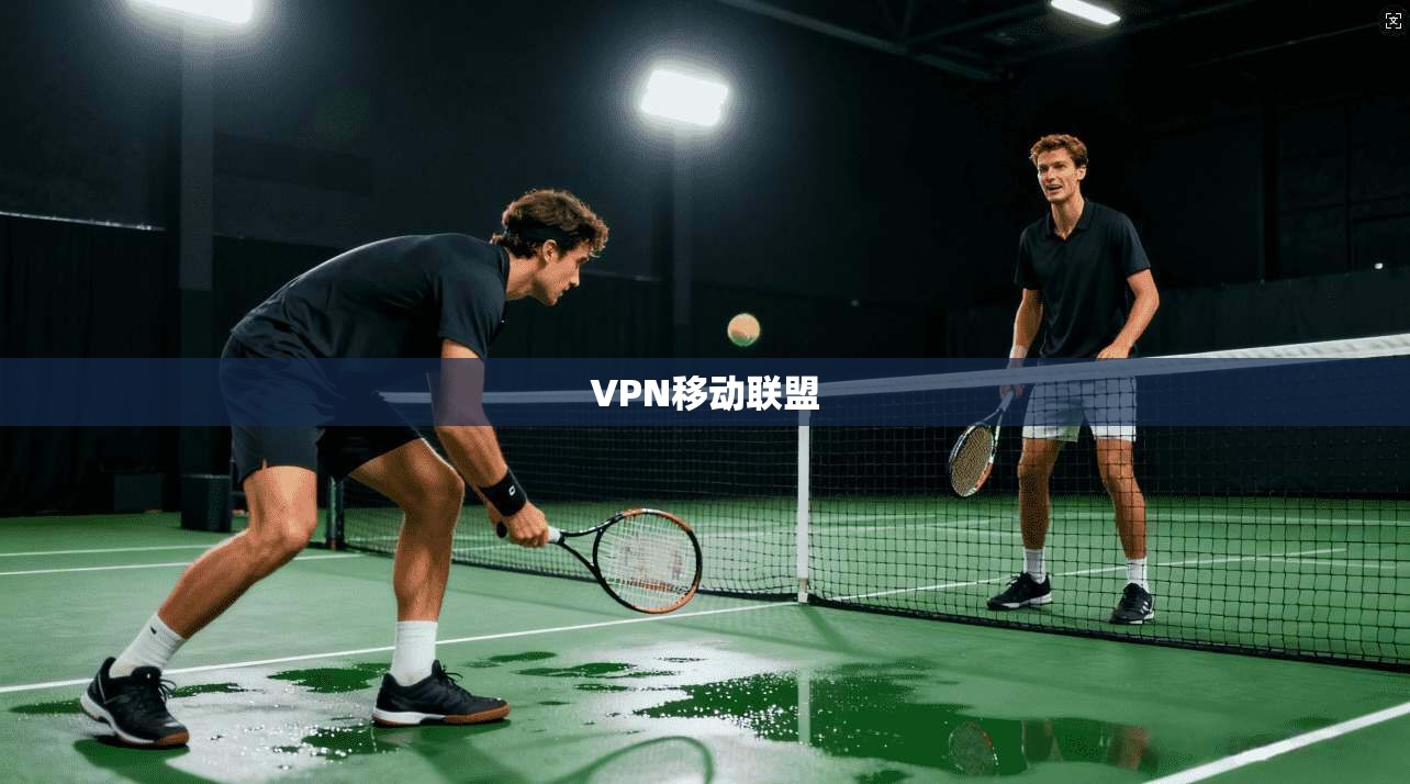 VPN移动联盟  第1张