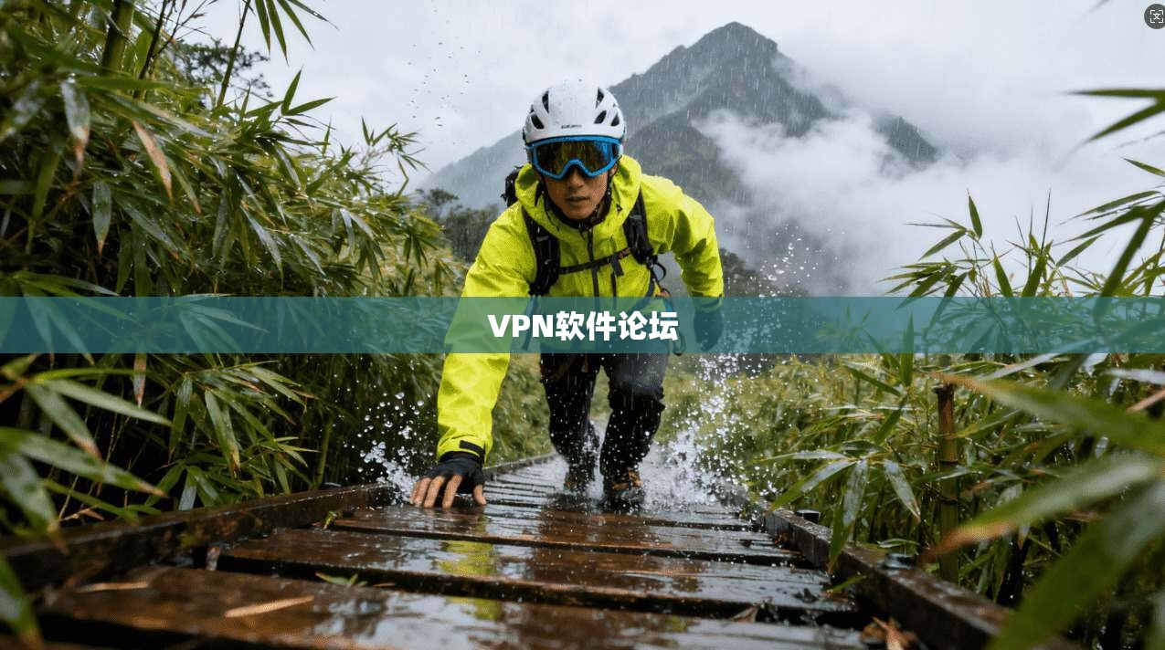 VPN软件论坛  第1张