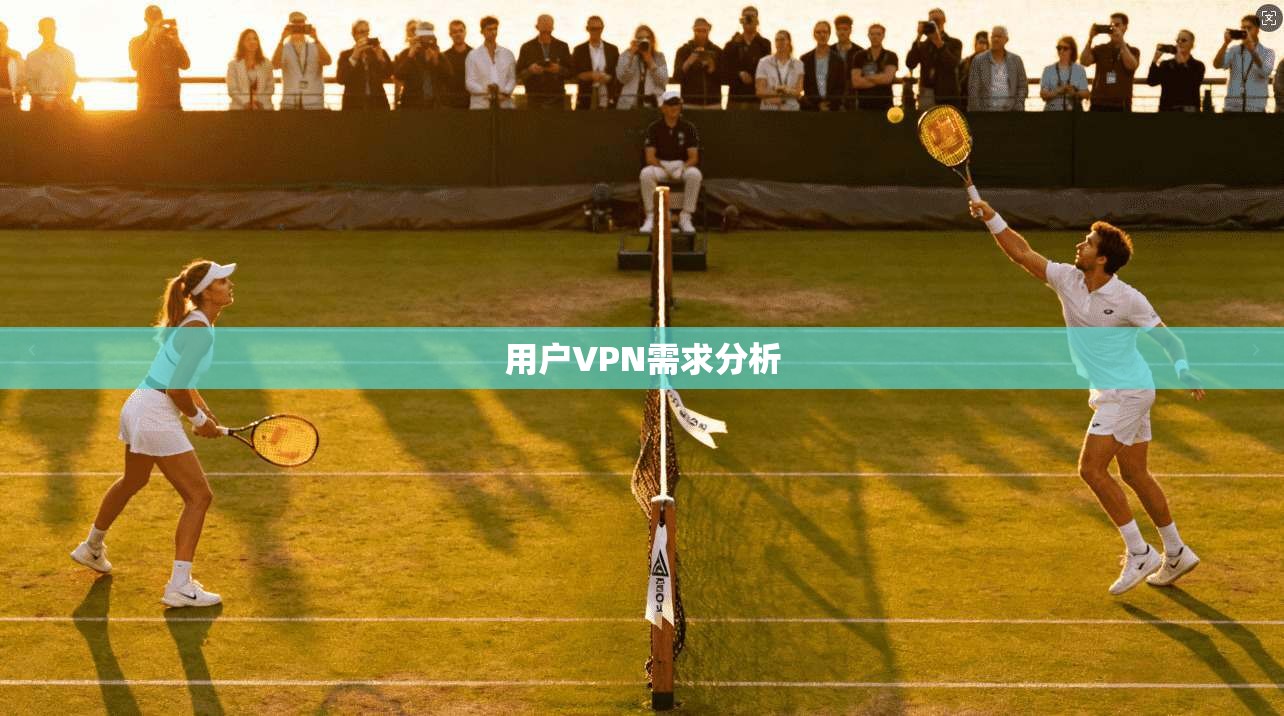 用户VPN需求分析  第1张