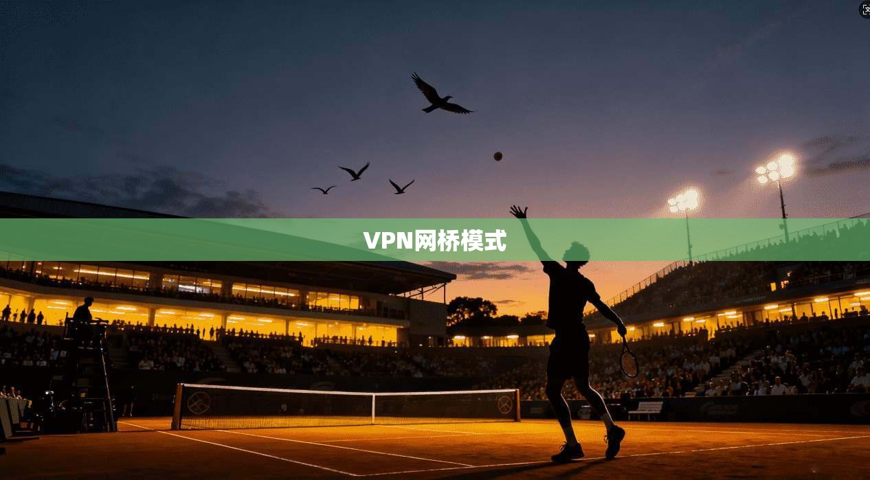 VPN网桥模式  第1张