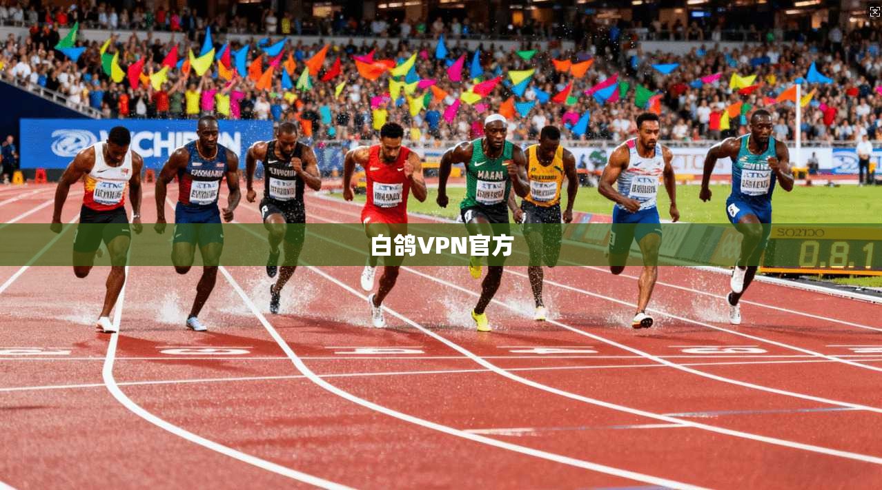 白鸽VPN官方  第1张