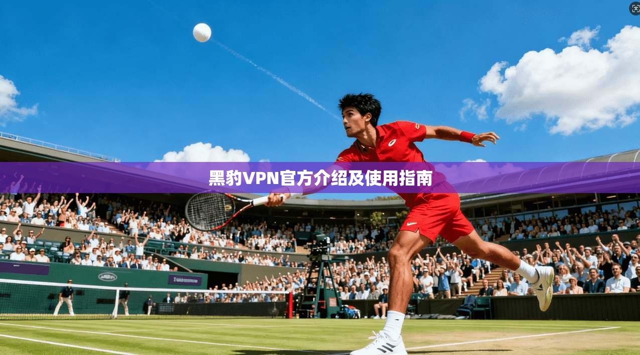 黑豹VPN官方介绍及使用指南 第1张 黑豹VPN官方介绍及使用指南 第1张