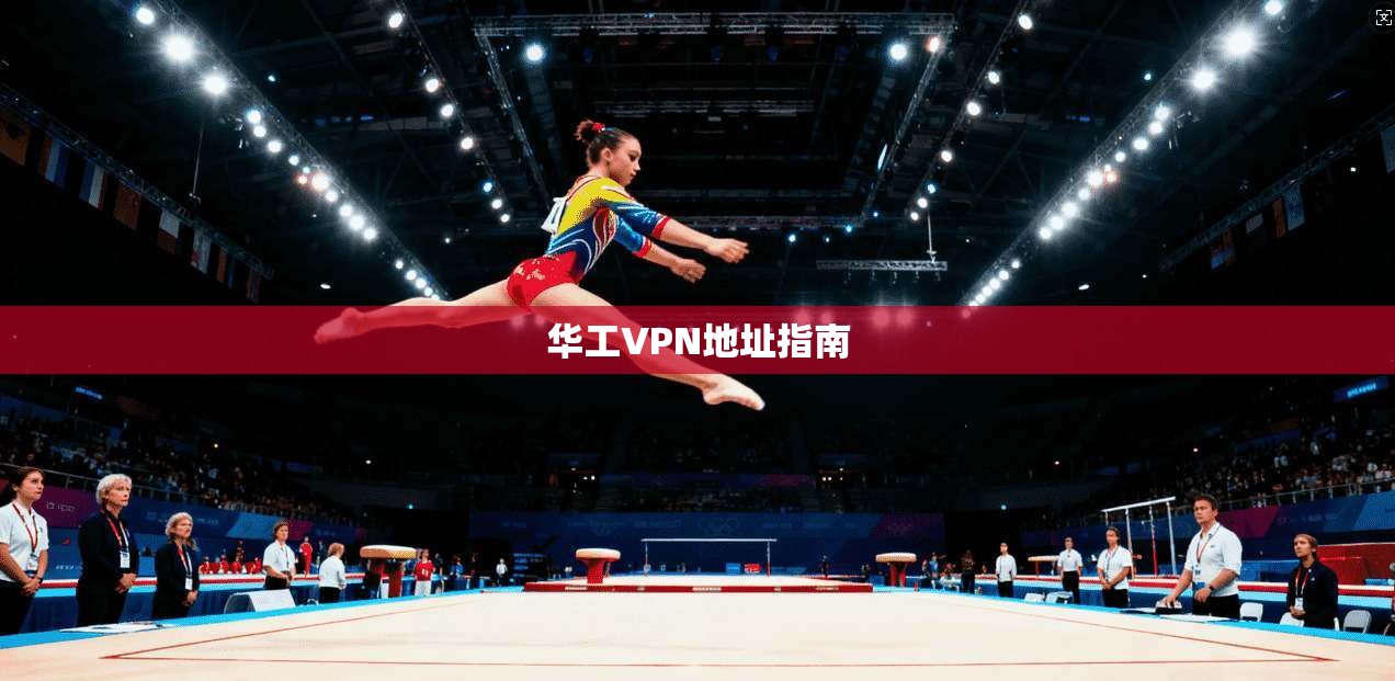 华工VPN地址指南  第1张