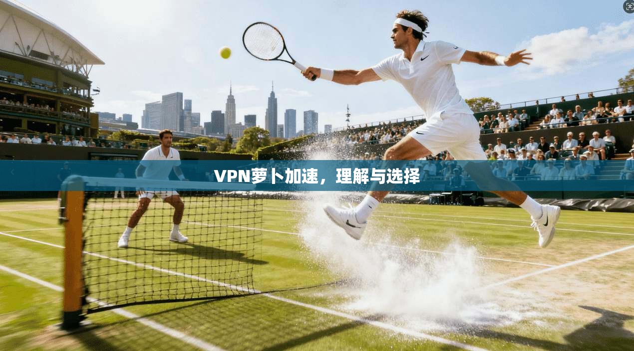 VPN萝卜加速,理解与选择 第1张 VPN萝卜加速,理解与选择 第1张