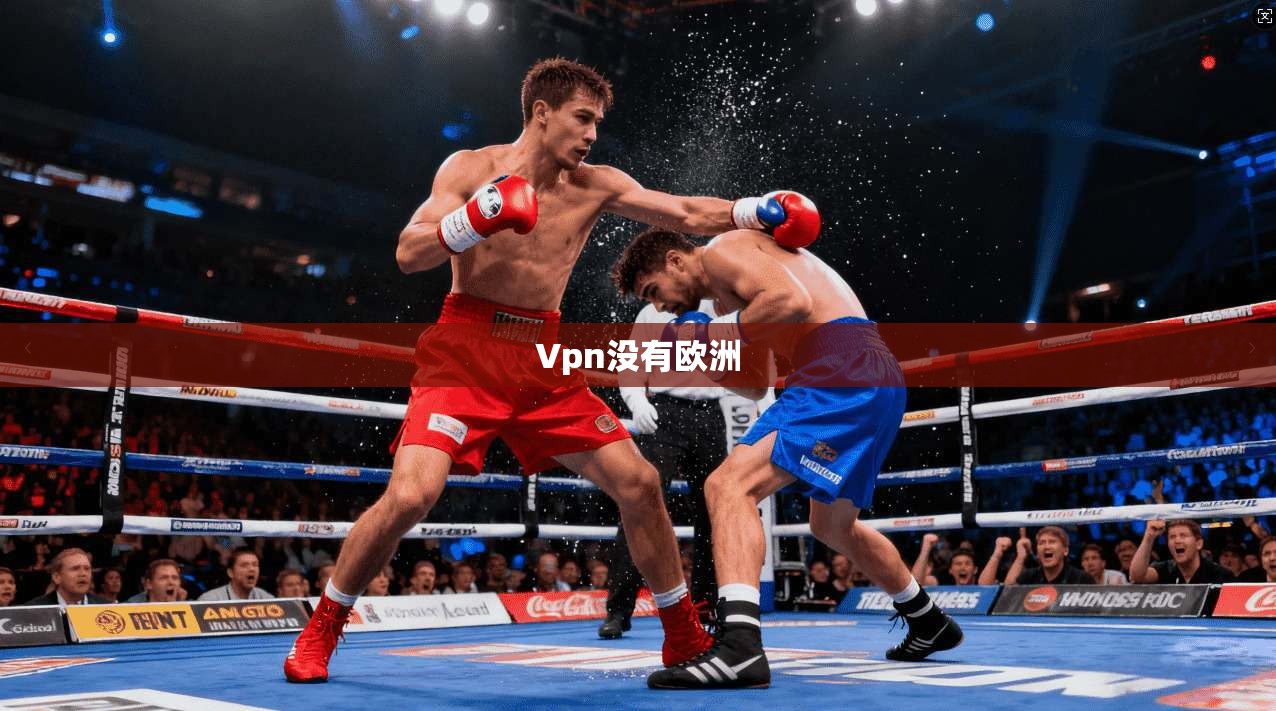 Vpn没有欧洲  第1张