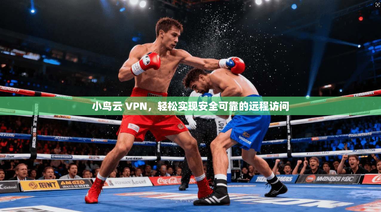 小鸟云 VPN，轻松实现安全可靠的远程访问  第1张