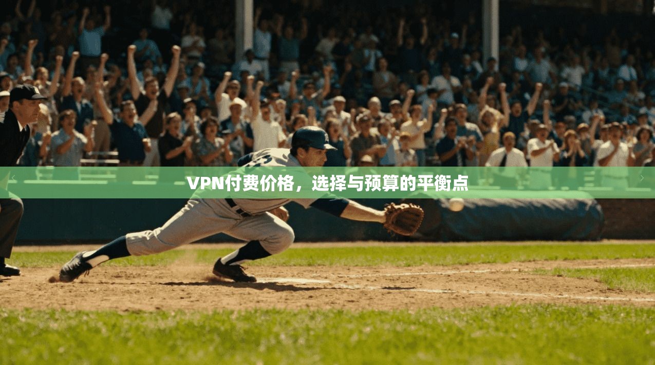 VPN付费价格，选择与预算的平衡点  第1张