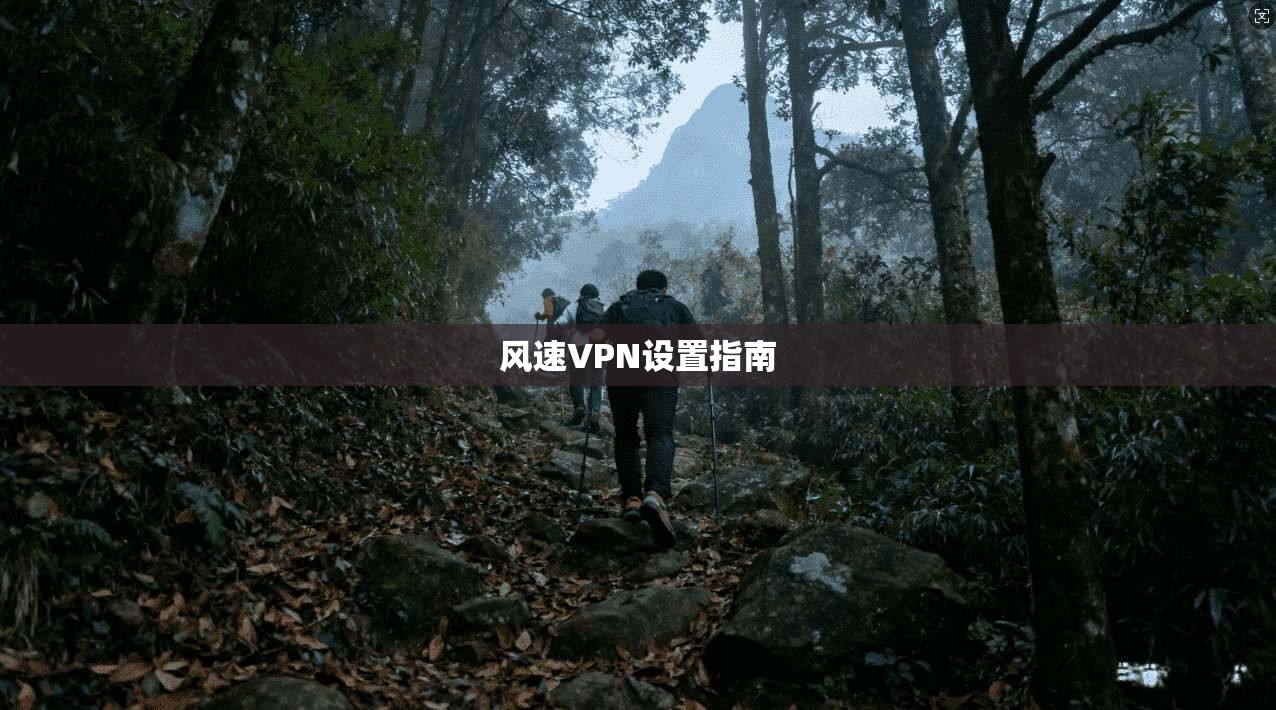 风速VPN设置指南  第1张