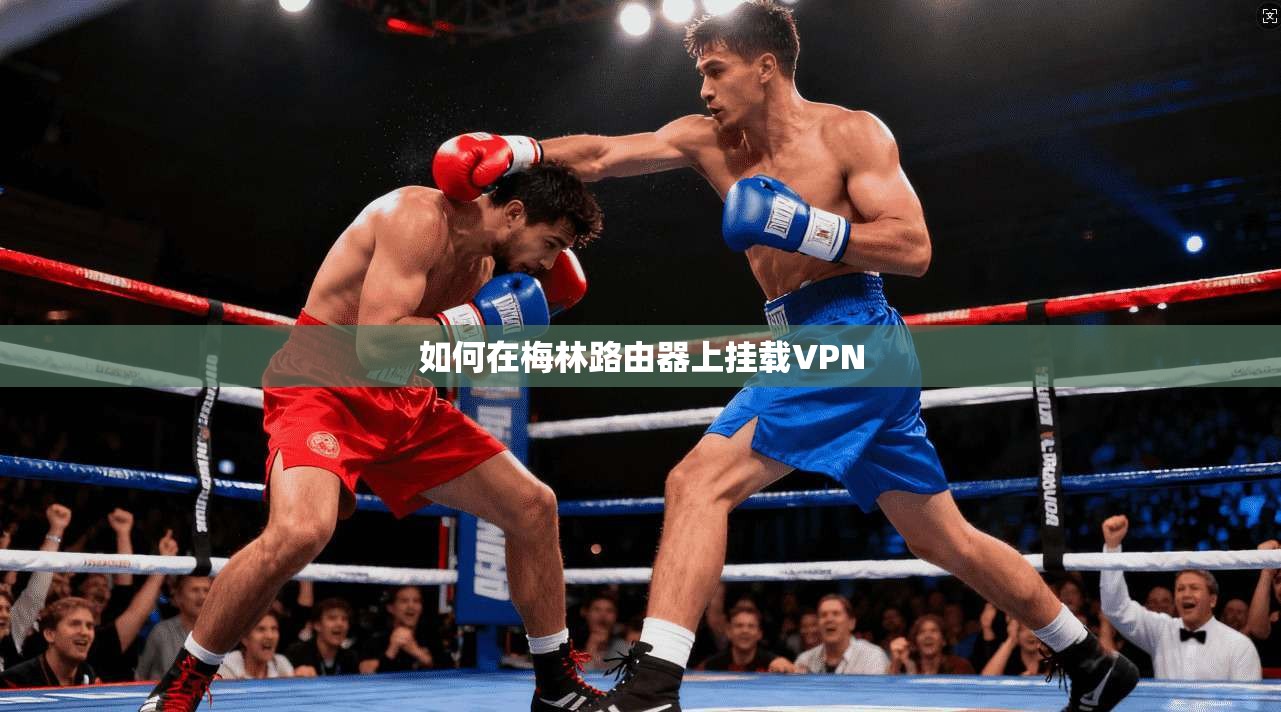 如何在梅林路由器上挂载VPN  第1张