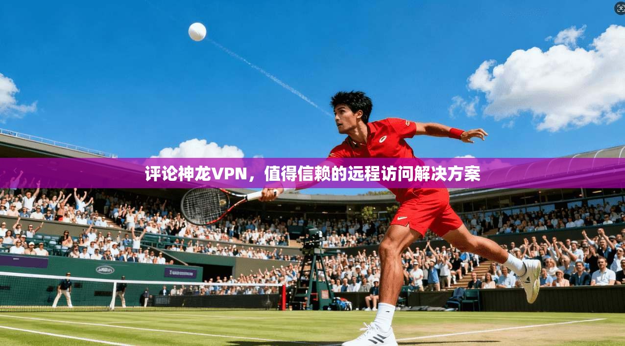 评论神龙VPN，值得信赖的远程访问解决方案  第1张