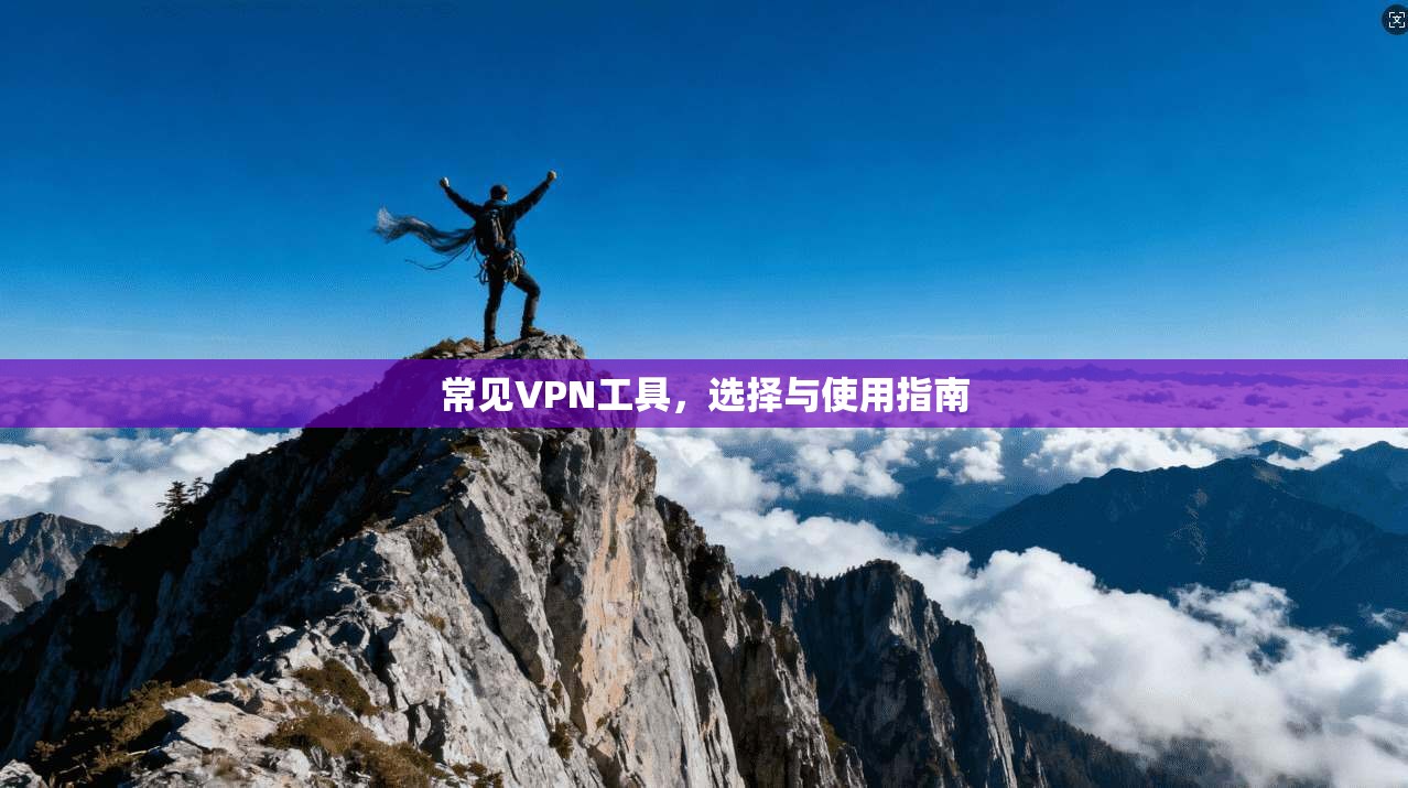 常见VPN工具，选择与使用指南  第1张