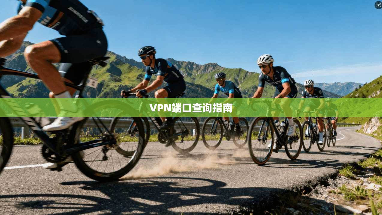 VPN端口查询指南  第1张