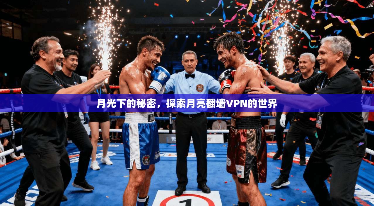 月光下的秘密，探索月亮翻墙VPN的世界  第1张