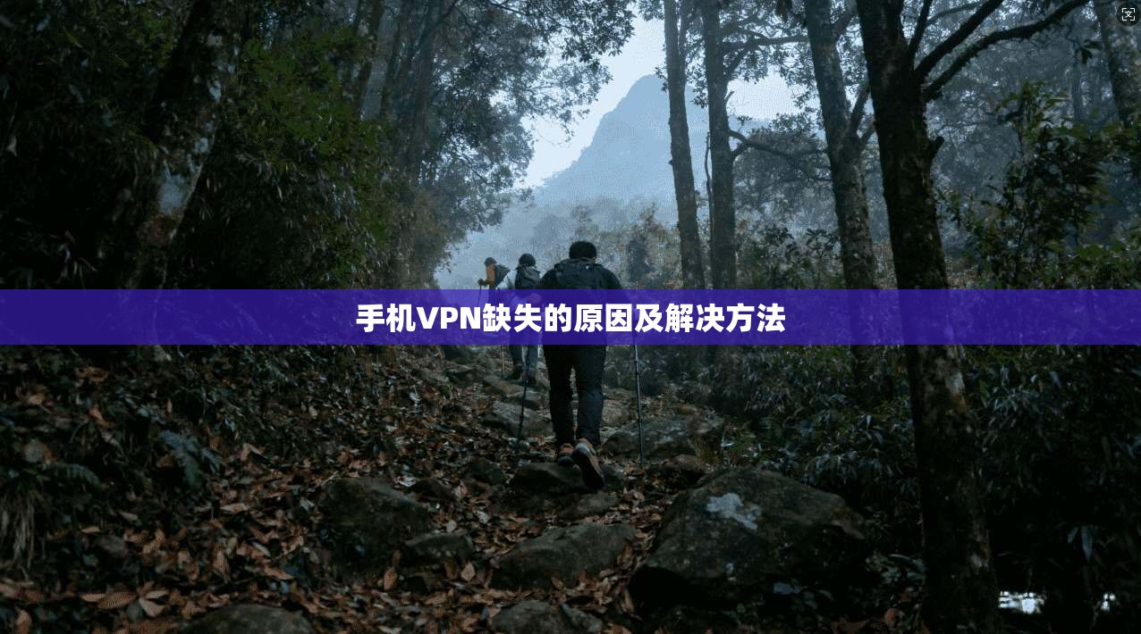 手机VPN缺失的原因及解决方法  第1张