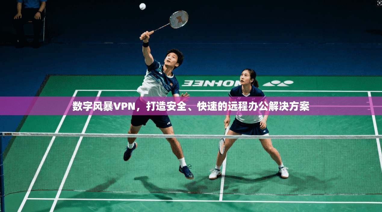 数字风暴VPN，打造安全、快速的远程办公解决方案  第1张