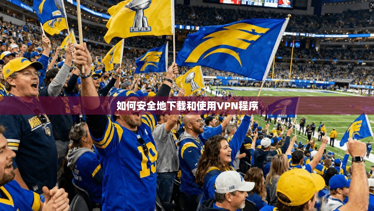 如何安全地下载和使用VPN程序 第1张 如何安全地下载和使用VPN程序 第1张