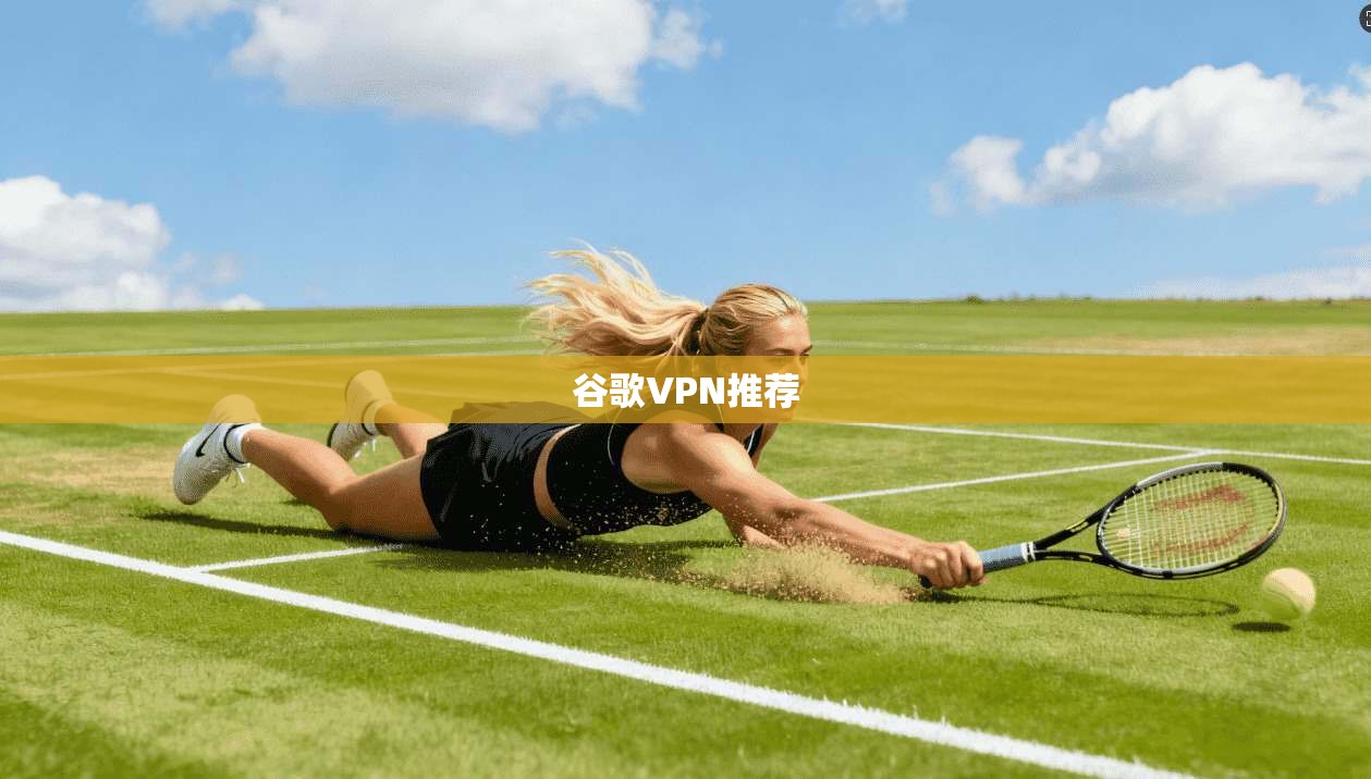 谷歌VPN推荐 第1张 谷歌VPN推荐 第1张