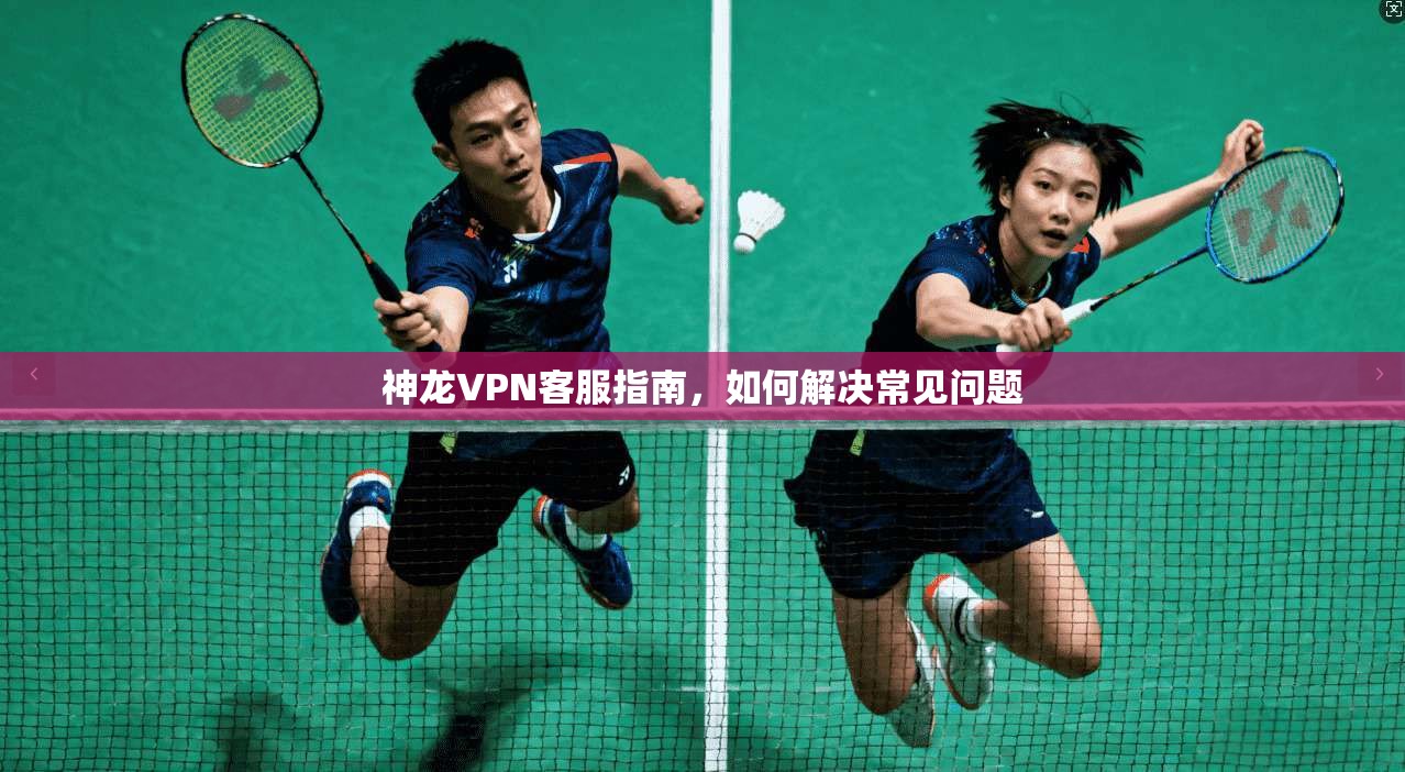 神龙VPN客服指南，如何解决常见问题  第1张