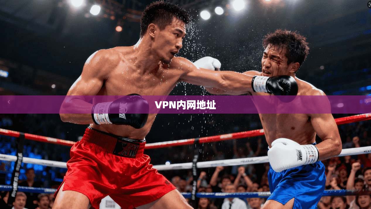 VPN内网地址  第1张