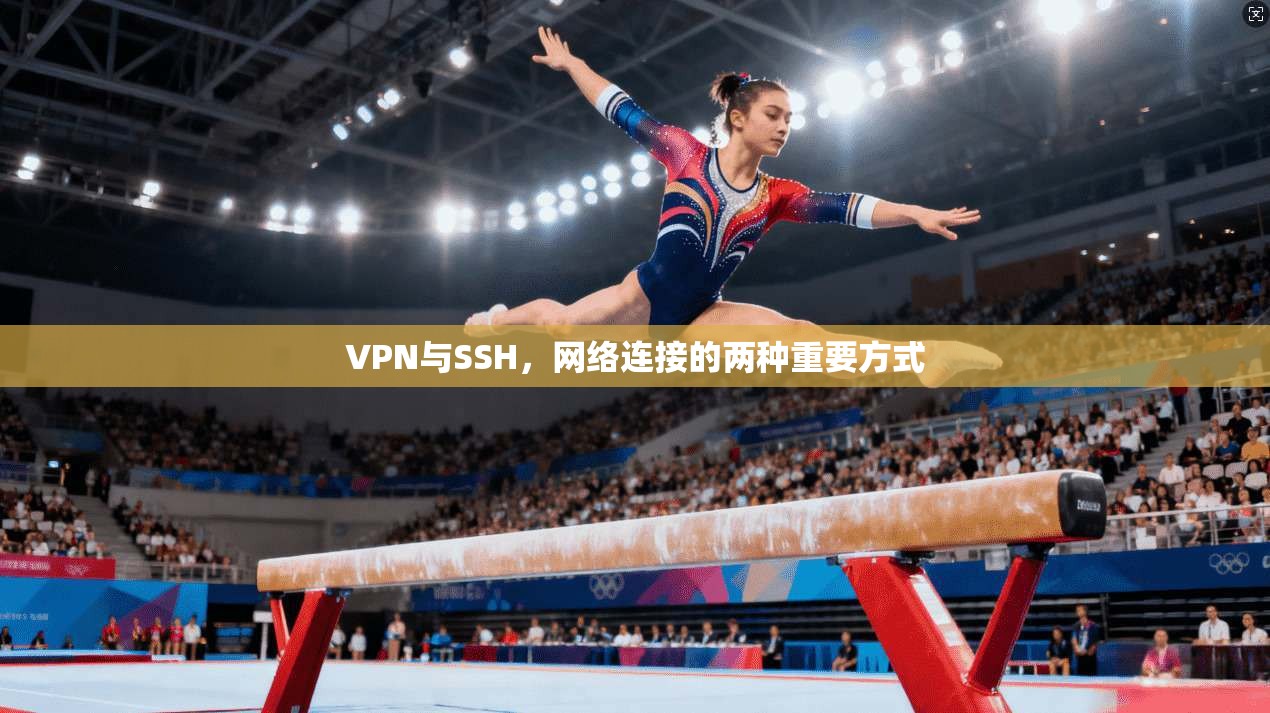 VPN与SSH，网络连接的两种重要方式  第1张