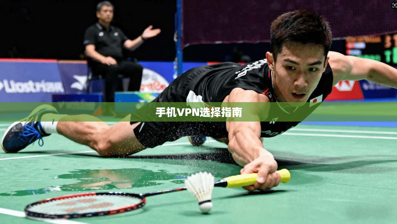 手机VPN选择指南  第1张