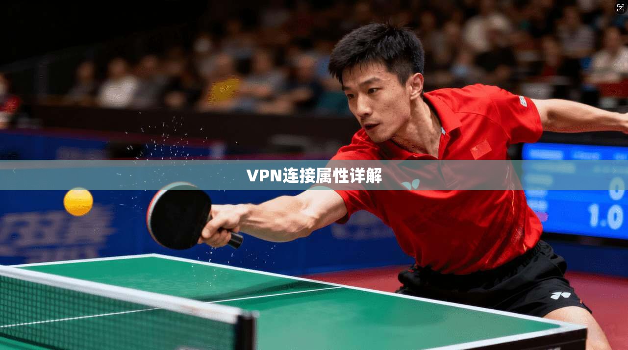 VPN连接属性详解  第1张