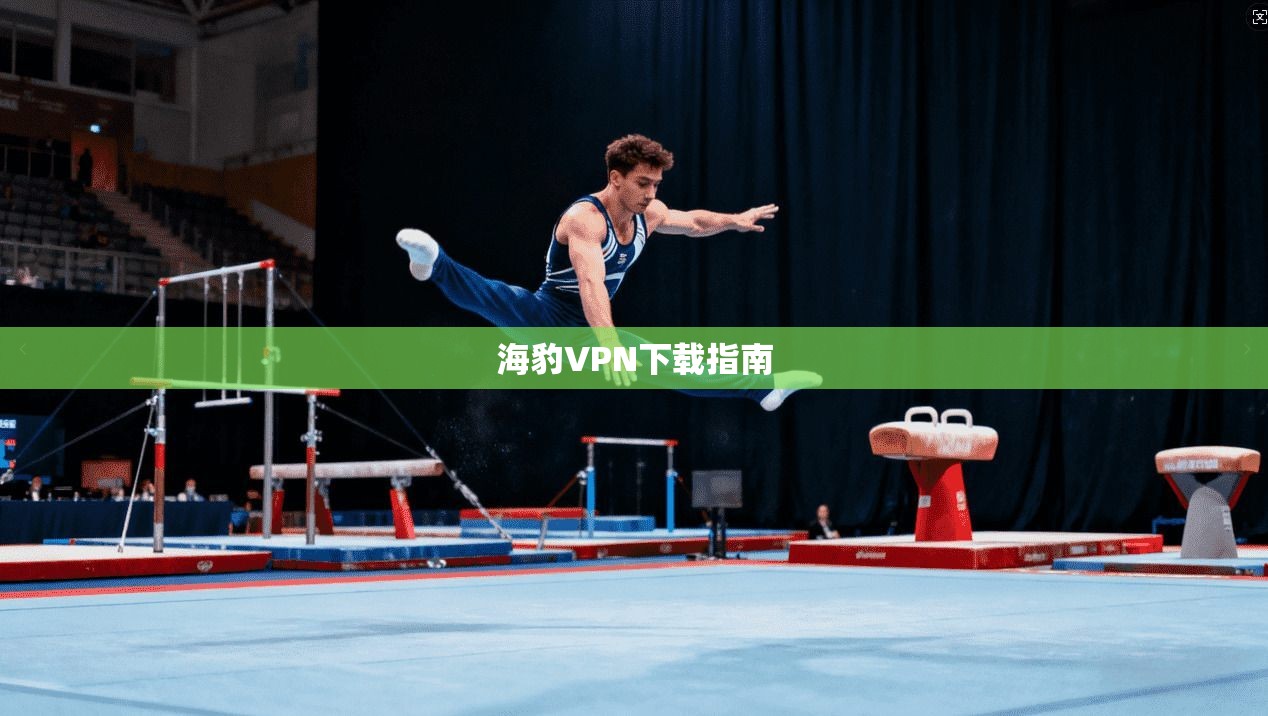 海豹VPN下载指南  第1张