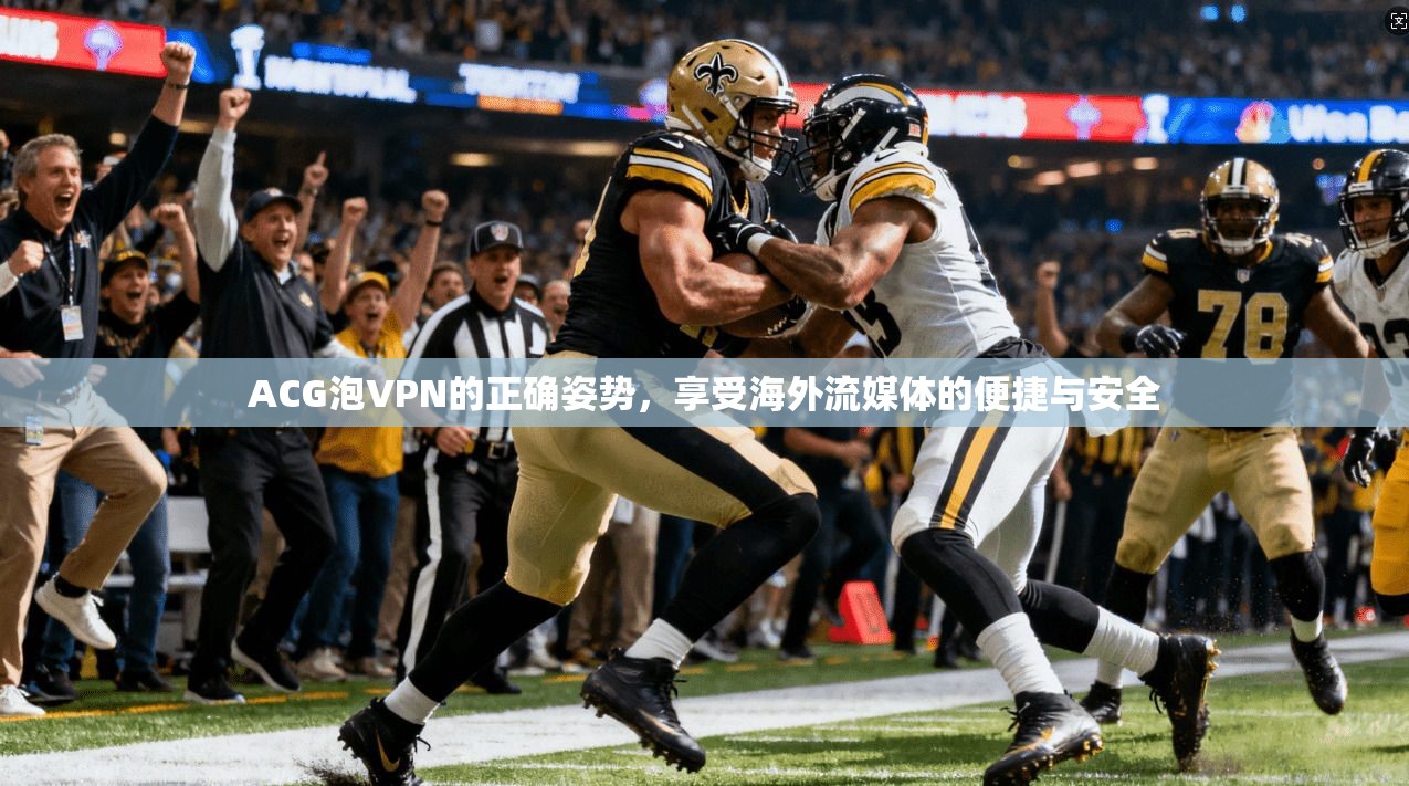 ACG泡VPN的正确姿势，享受海外流媒体的便捷与安全  第1张