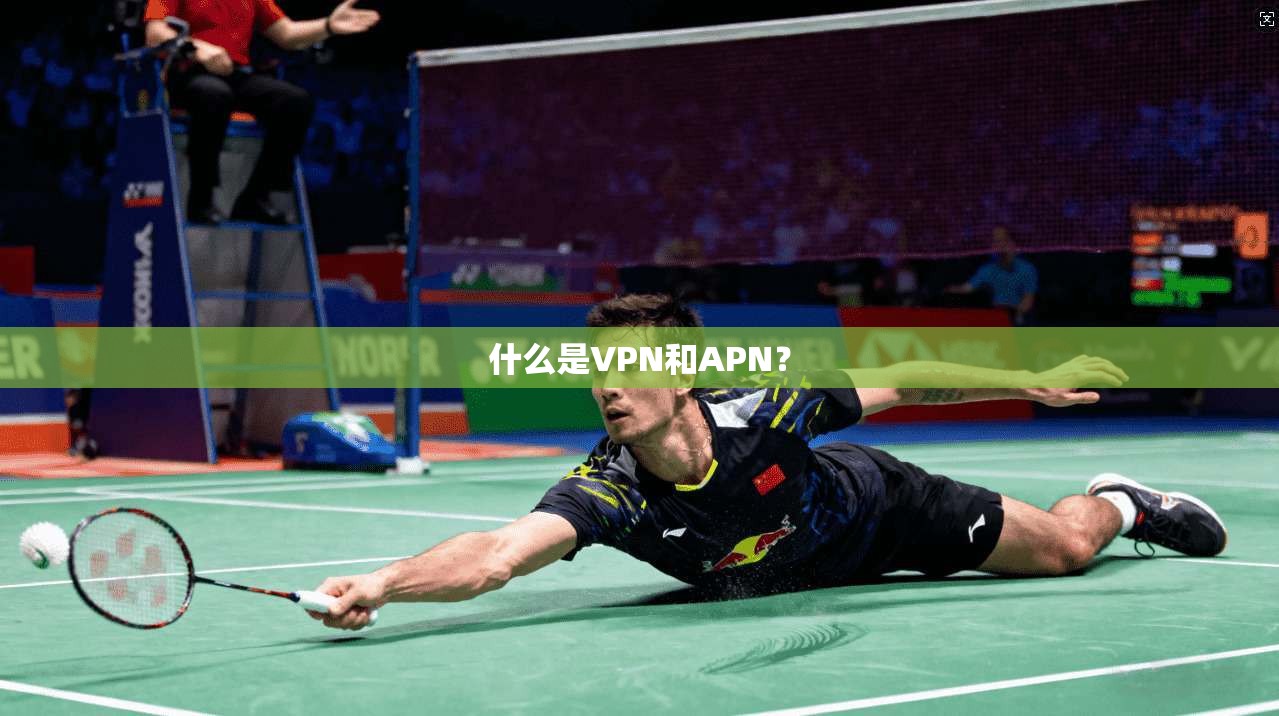 什么是VPN和APN？  第1张