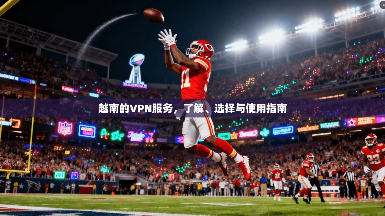 越南的VPN服务，了解、选择与使用指南  第1张