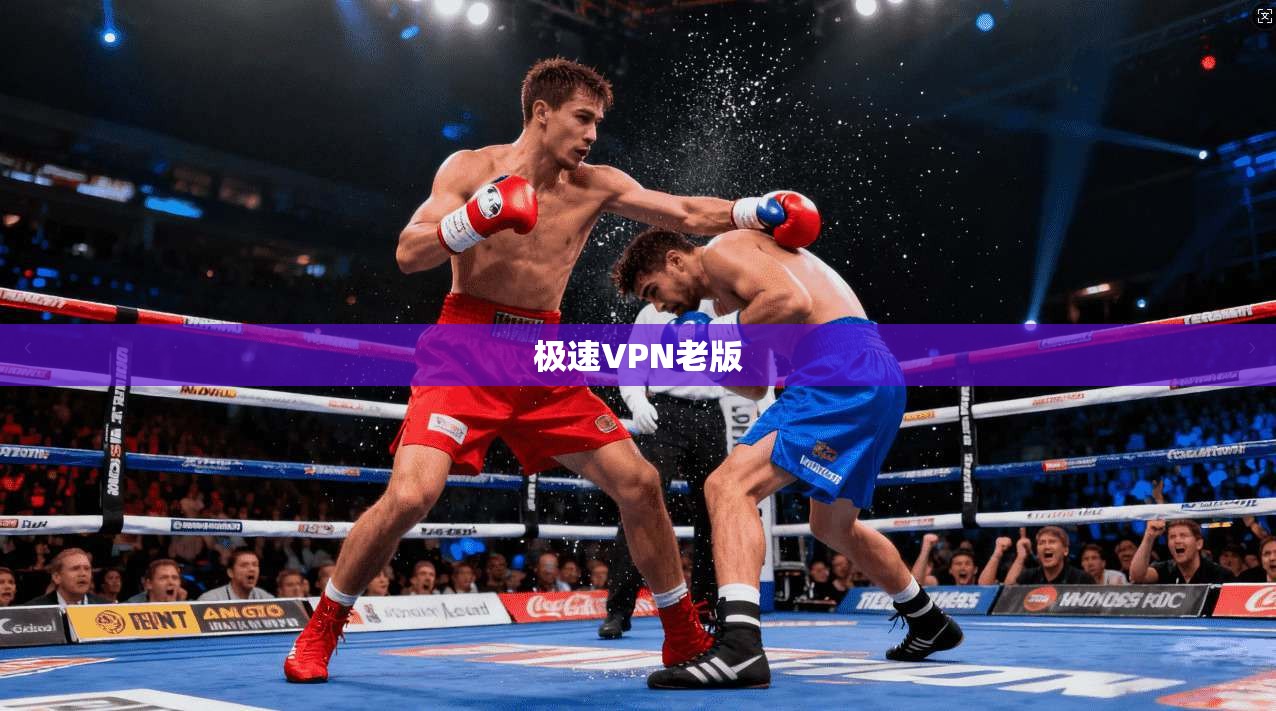 极速VPN老版  第1张