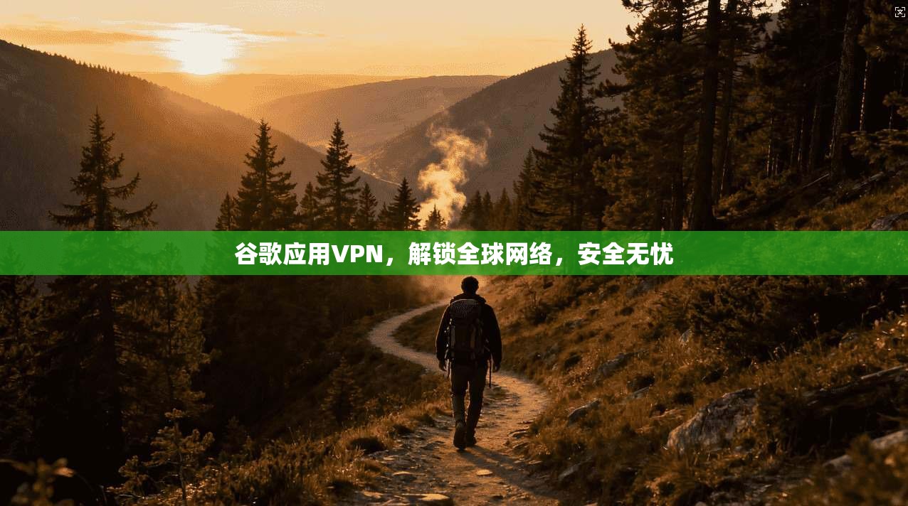 谷歌应用VPN，解锁全球网络，安全无忧  第1张