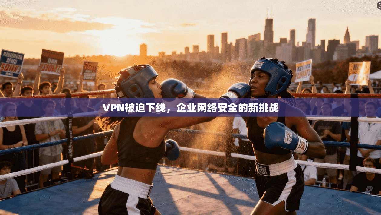 VPN被迫下线，企业网络安全的新挑战  第1张