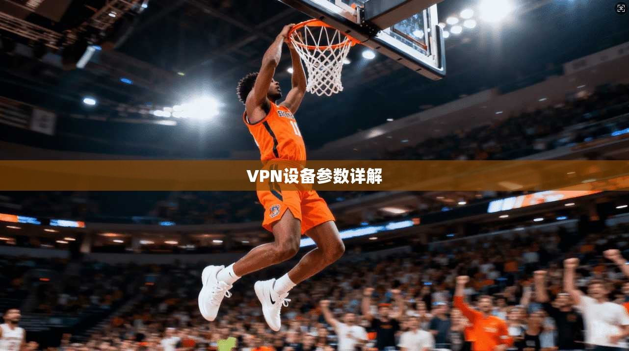 VPN设备参数详解  第1张