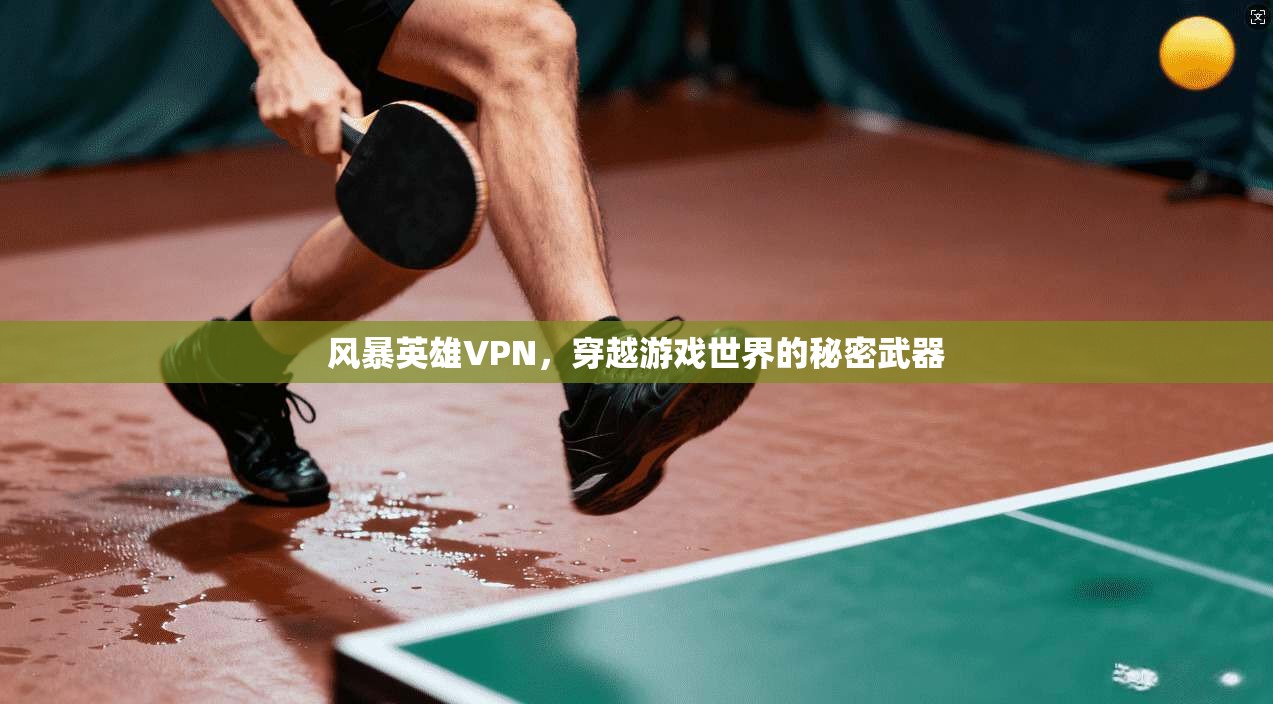 风暴英雄VPN，穿越游戏世界的秘密武器  第1张