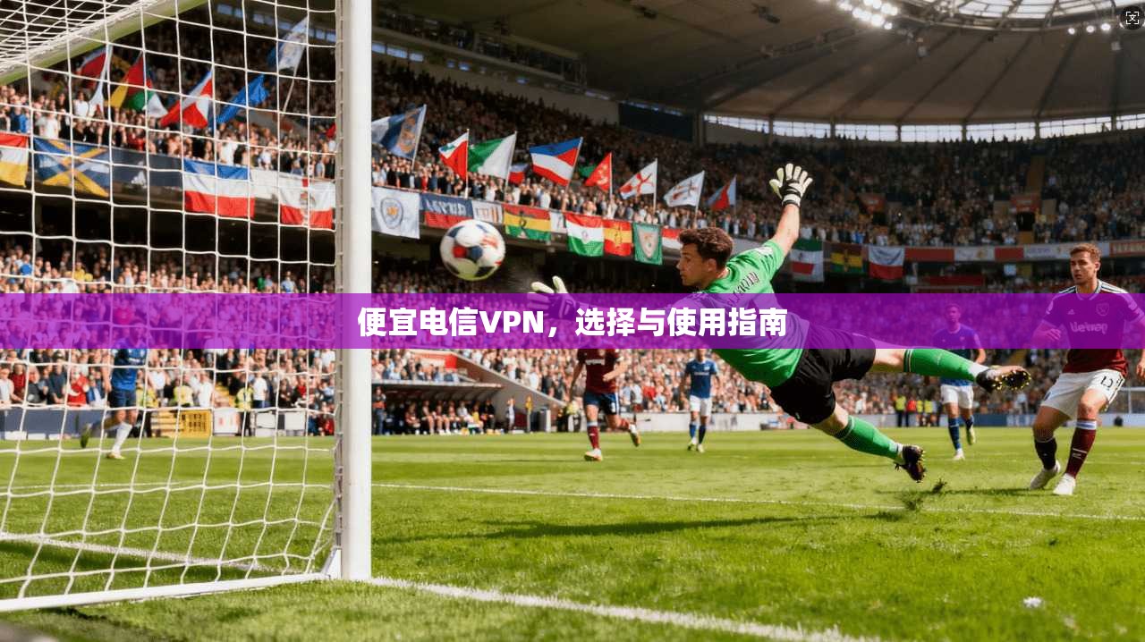 便宜电信VPN，选择与使用指南  第1张