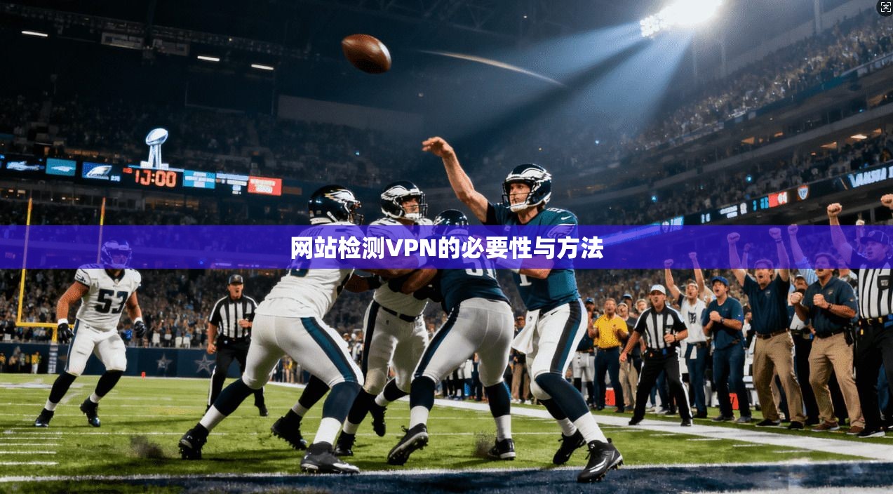 网站检测VPN的必要性与方法 第1张 网站检测VPN的必要性与方法 第1张