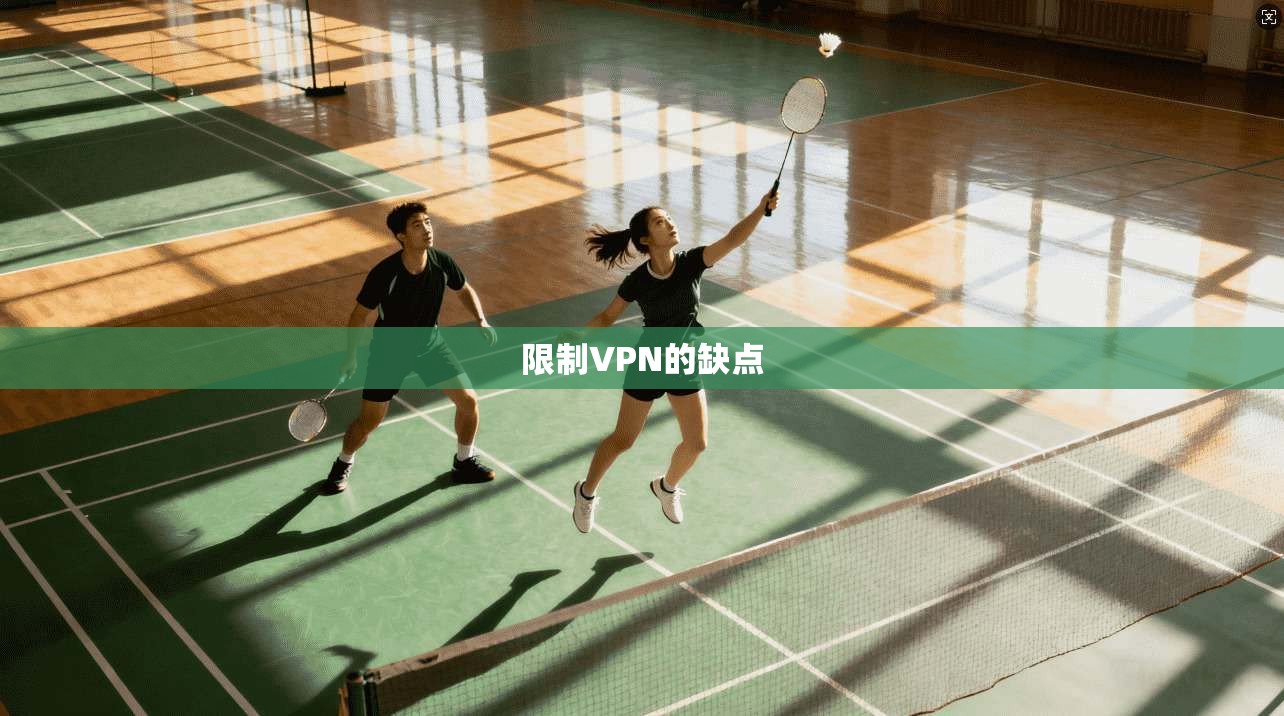限制VPN的缺点  第1张