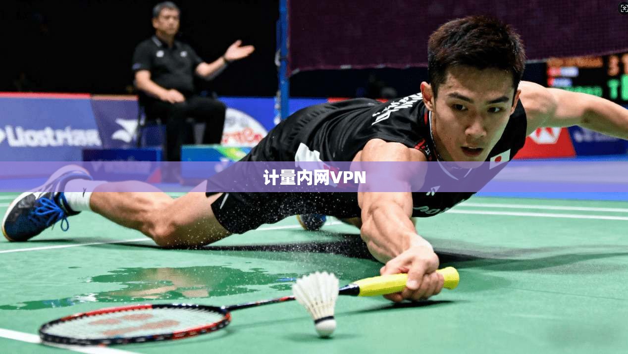 计量内网VPN  第1张