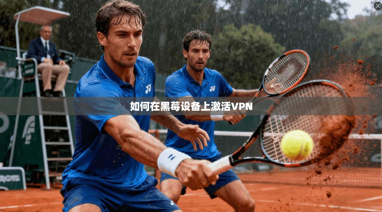 如何在黑莓设备上激活VPN  第1张