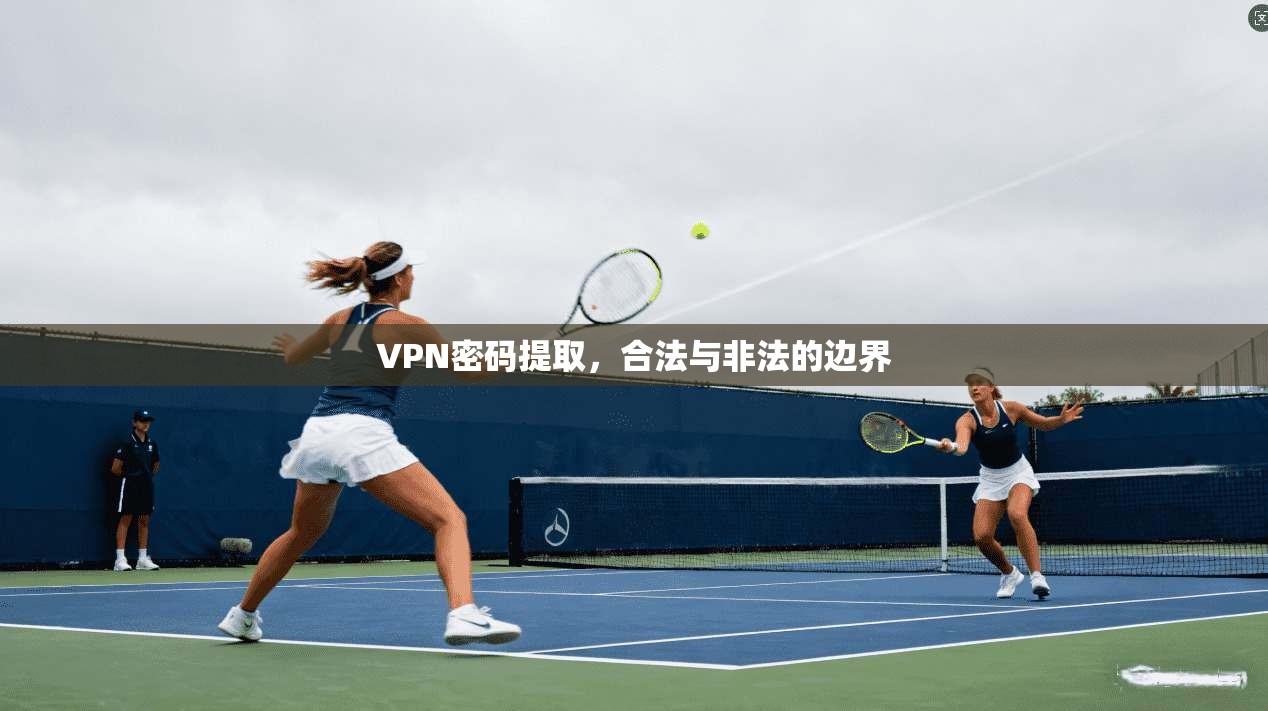 VPN密码提取，合法与非法的边界  第1张