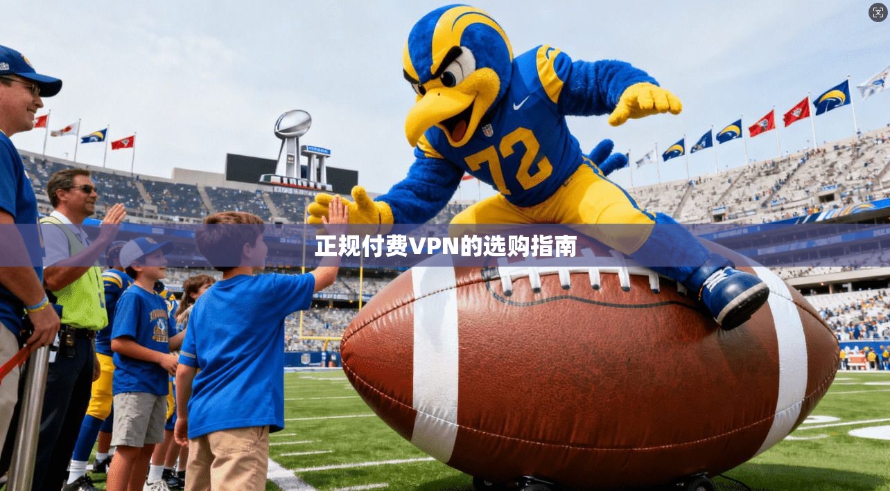 正规付费VPN的选购指南  第1张