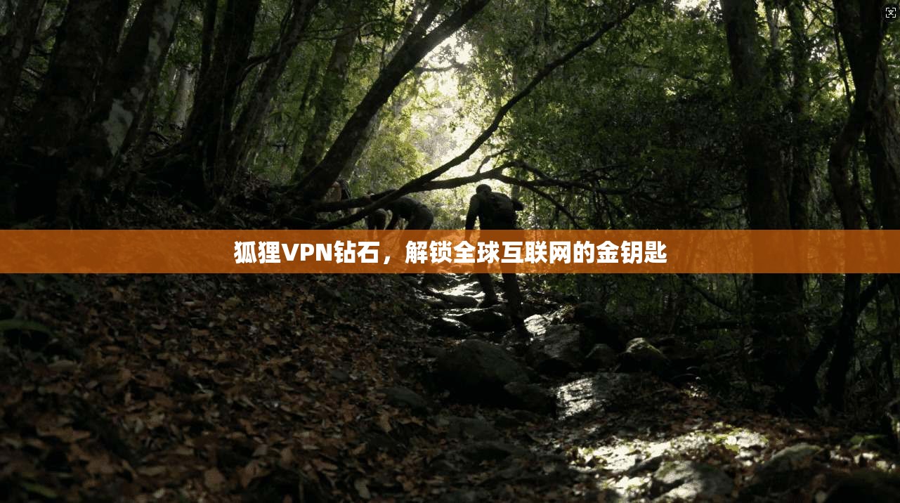 狐狸VPN钻石，解锁全球互联网的金钥匙  第1张