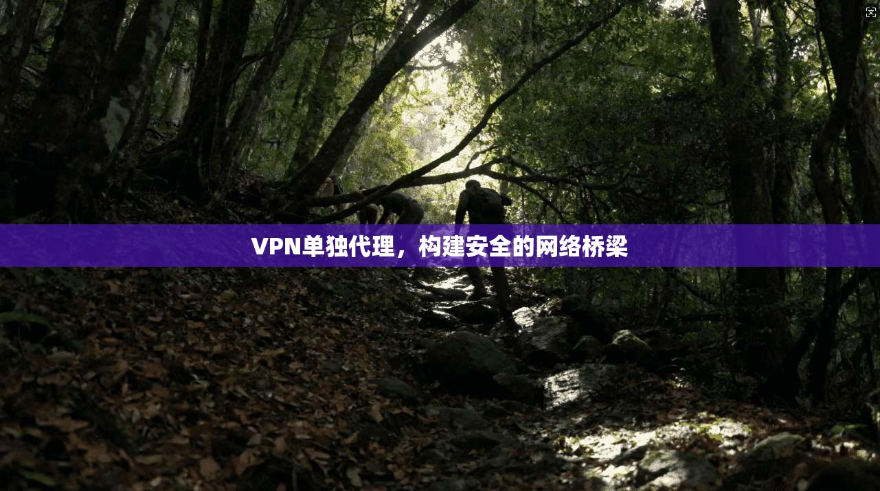 VPN单独代理，构建安全的网络桥梁  第1张