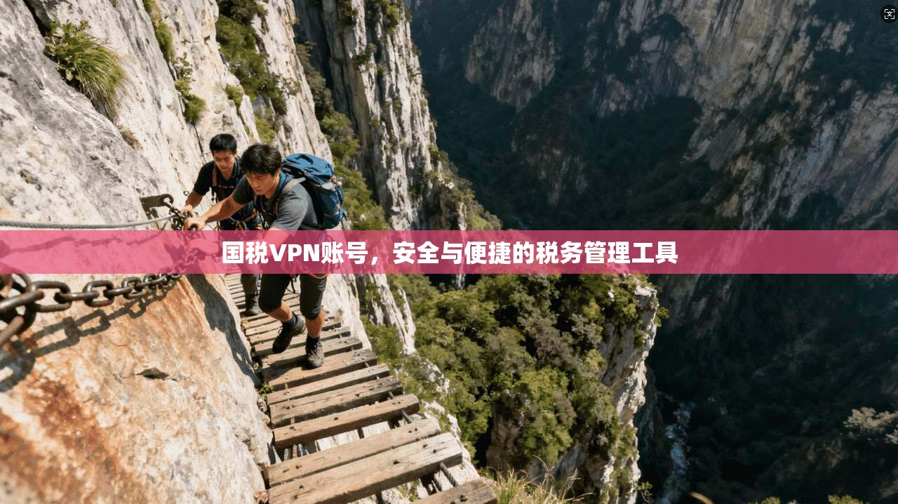 国税VPN账号，安全与便捷的税务管理工具  第1张