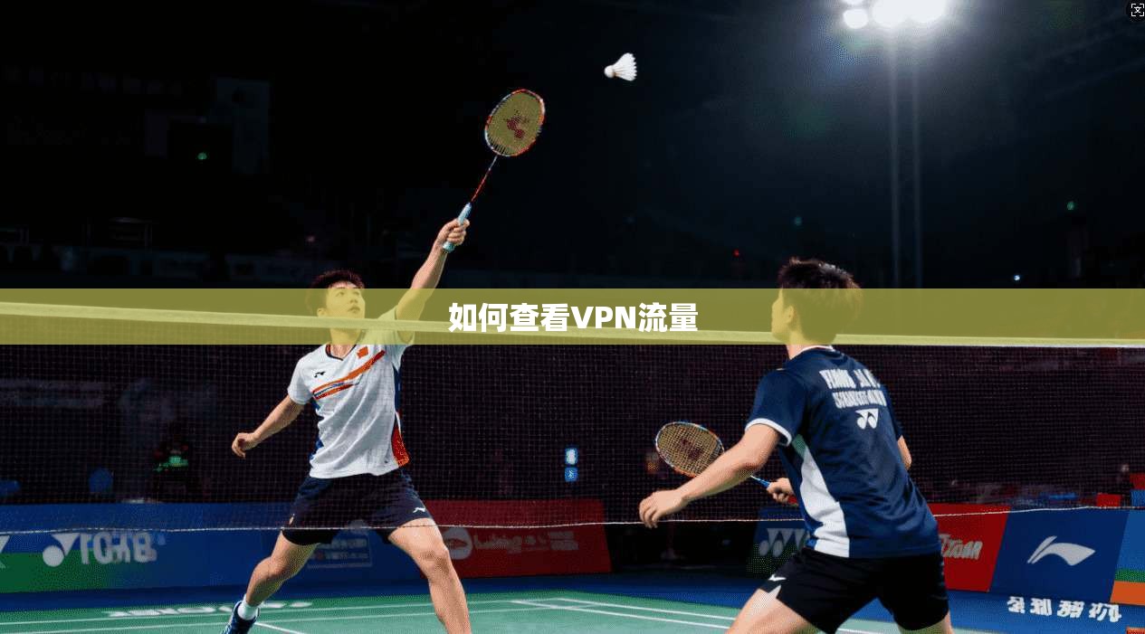 如何查看VPN流量  第1张