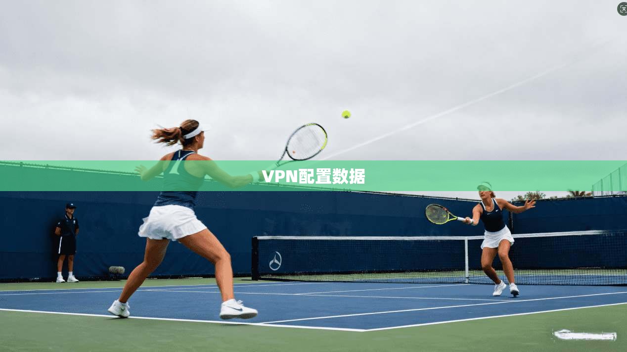 VPN配置数据  第1张
