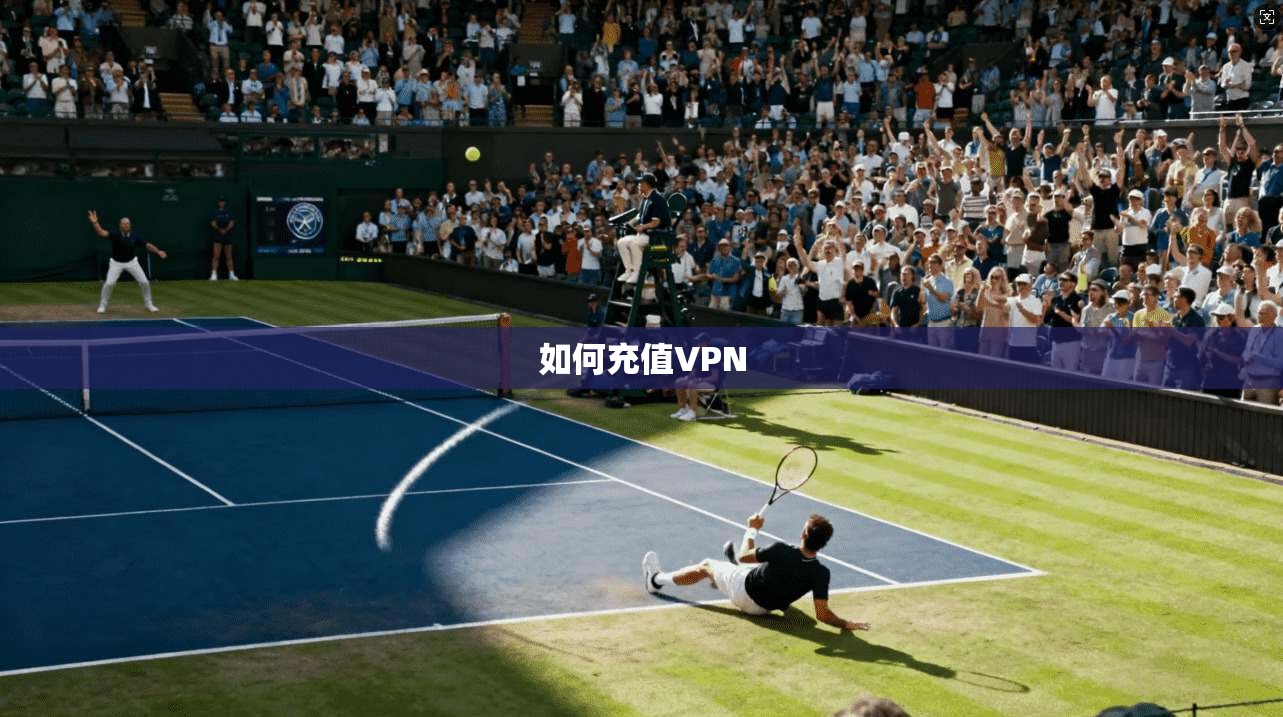 如何充值VPN  第1张