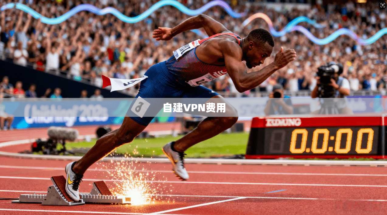 自建VPN费用  第1张