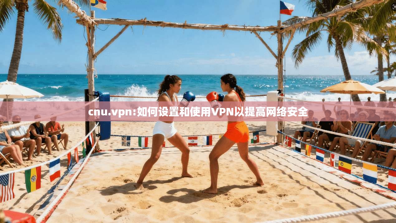 cnu.vpn:如何设置和使用VPN以提高网络安全  第1张